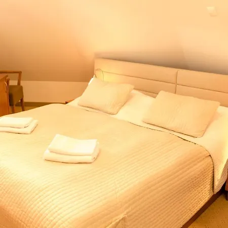 Hotel Vitkova Hora - Veitsberg Karlovy Vary
