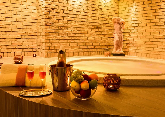Vitkova Hora Hotel Karlovy Vary