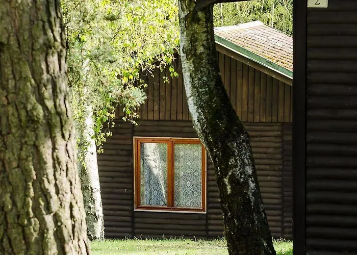 Отель Vitkova Hora 3*